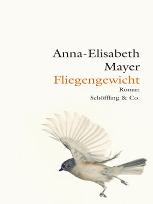 cover image of Fliegengewicht